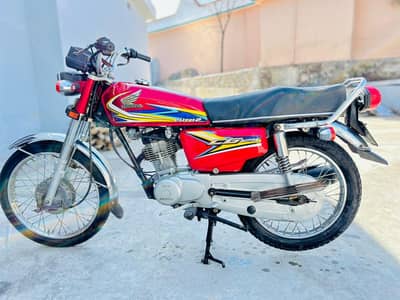 2019 model punjab nmbr
