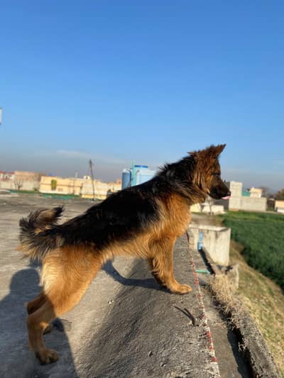 He also eats some food at the same time.