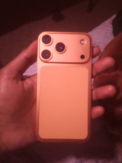 Xr converted into 17 promax