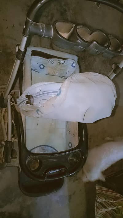 baby stroller bilkul bi demig ya tota nh just wash hona wla ha