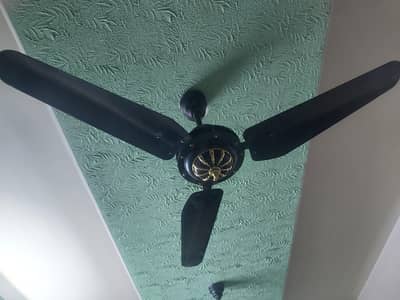 selling fan