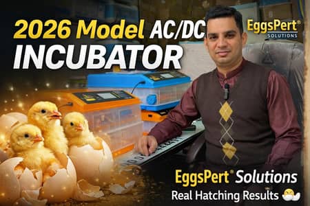 06 to 5056 Eggs Incubator AC DC Fully Automatic Electricity Efficient