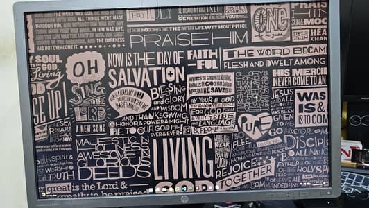 Hp 24 Inch monitor screen