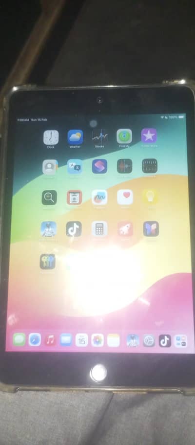 ipad mini 5 pubg master