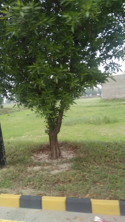 Best Located For Resident