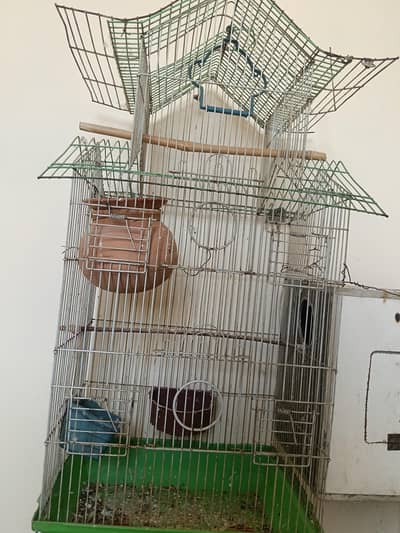 love bird cage