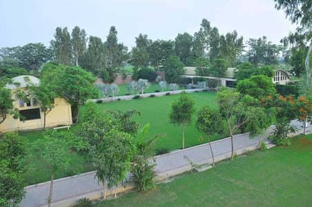 KANAL PLOT AVAILABLE FOR FORM HOUSE ON BEDIAN ROAD