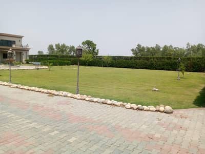 IDEAL PLOT FOR FARM HOUSE GATED CUMMUNITY WELL MIANTAIN