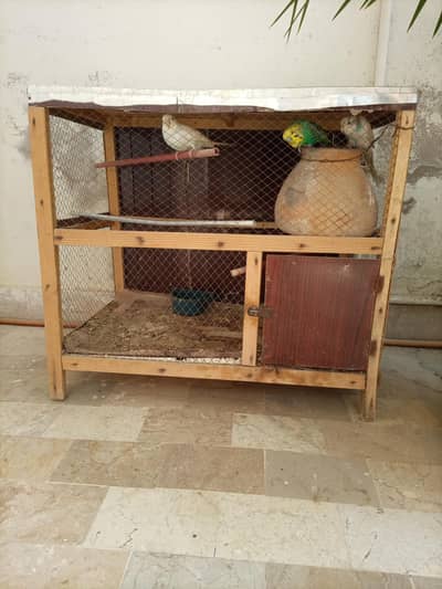 Good cage (pinjara)with 4 Australian parrots