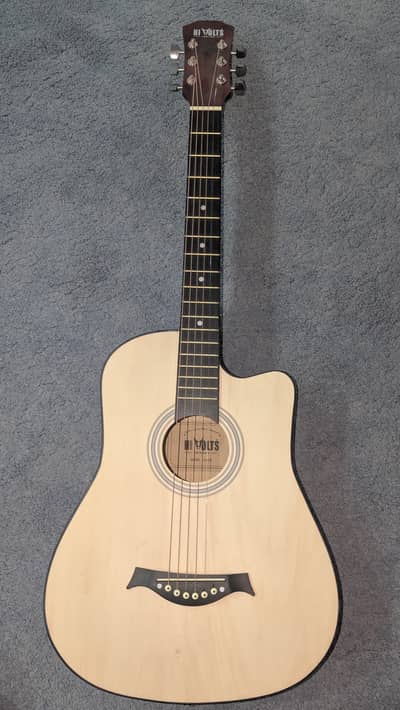 Acoustic guitar