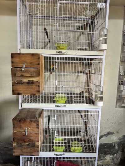 Ali Cage 4 section along with complete setup, 4 breading boxes