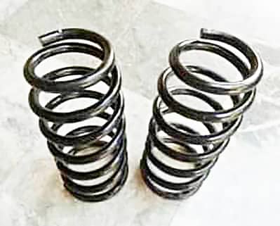 CIvic Rebirth Shock Springs FRONT