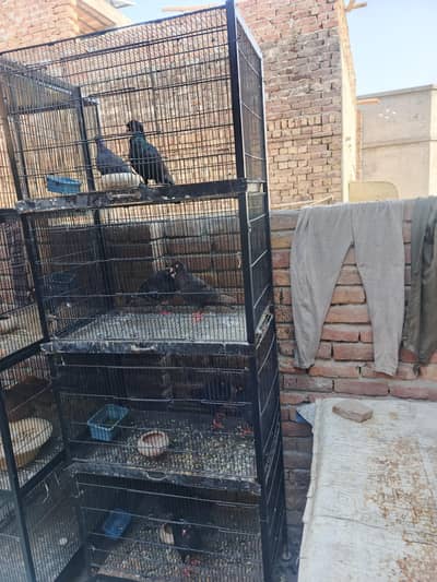 Cage 4 portion 2.5x2x1.5