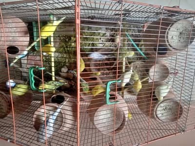 bajari tote (03112365590)