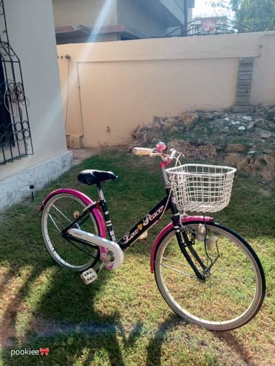 Bicycle 22" Aluminium Frame