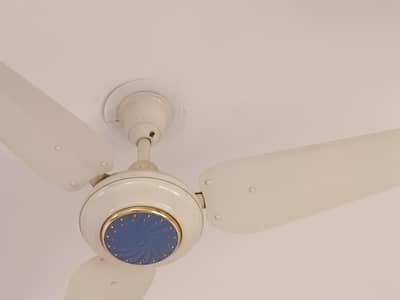 ceiling fan