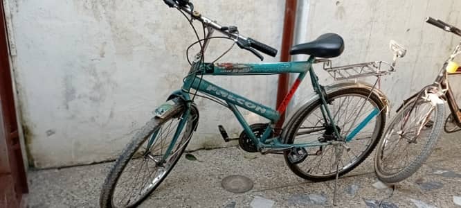 Full size gear bicycle