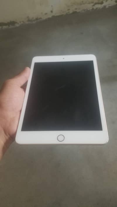 i pad mini 5 with charger