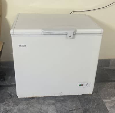 Budget friendly Haier freezer