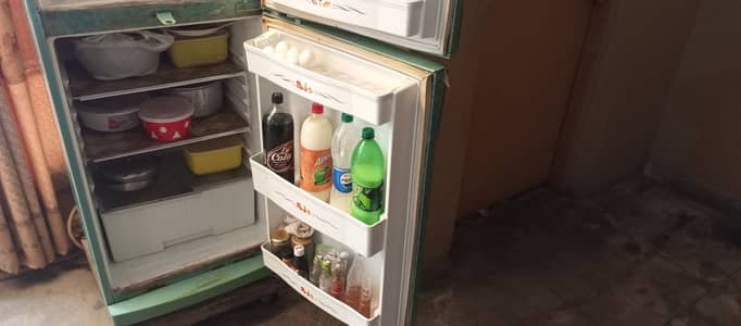 Waves company medium size