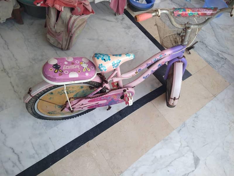 Cycle 0