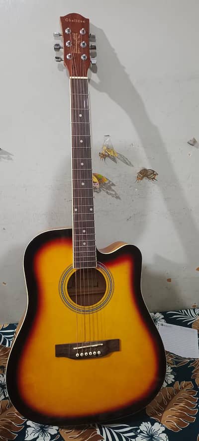 Acoustic Guitar (no electronics visible)