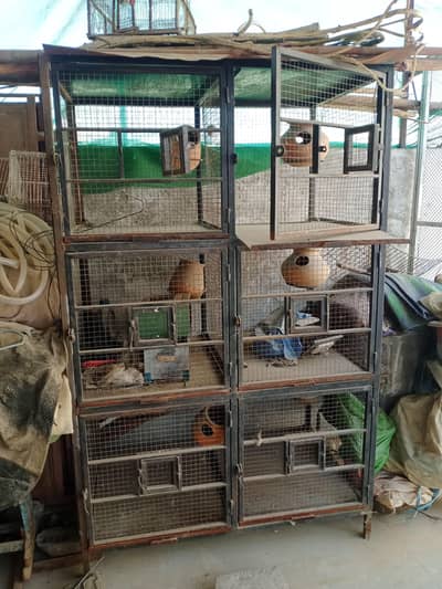 14 Gage 2 Iron Cages for birds, 6 box in each.