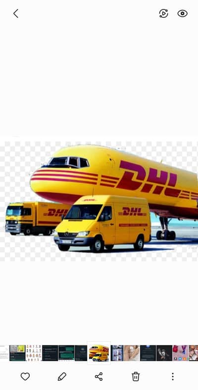 DHL cargo international service Staaff Required Only Female