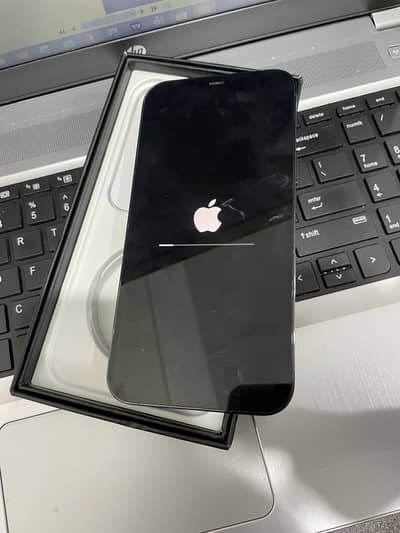 12 pro max PTA Approved 256/87