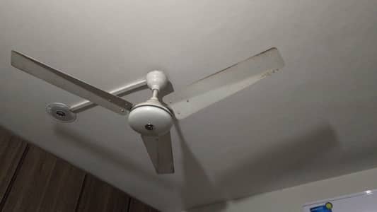 Ceiling fans