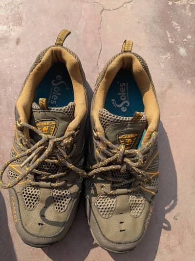 Original Camel Crown Hiking Shoes