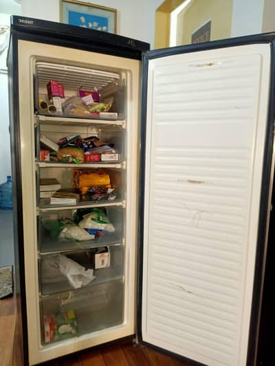 VERTICAL FREEZER ORIENT