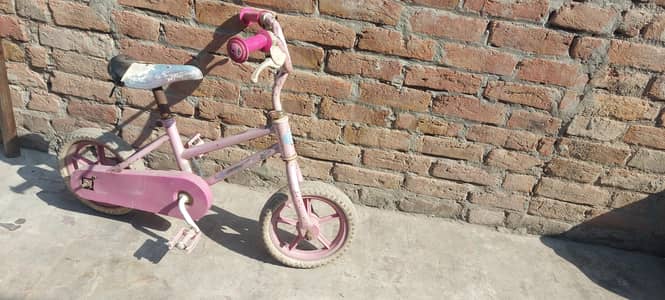 Korean Kid Cycle