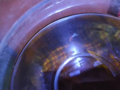 height quality betta and guppy