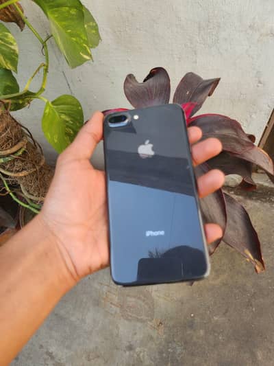 iphone 8plus 10/10 condition original phone all okay (03228433542)