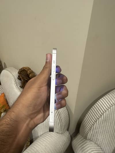 iPhone 13 PTA approved