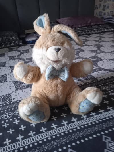 rabbit teddy bear