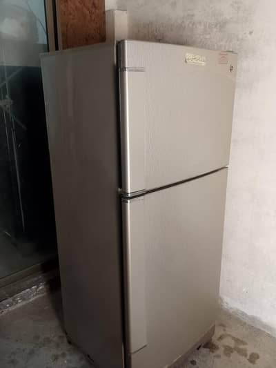 PEL new companies  all ok03258826886 bda saiz