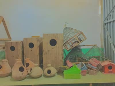 used cage condition like new