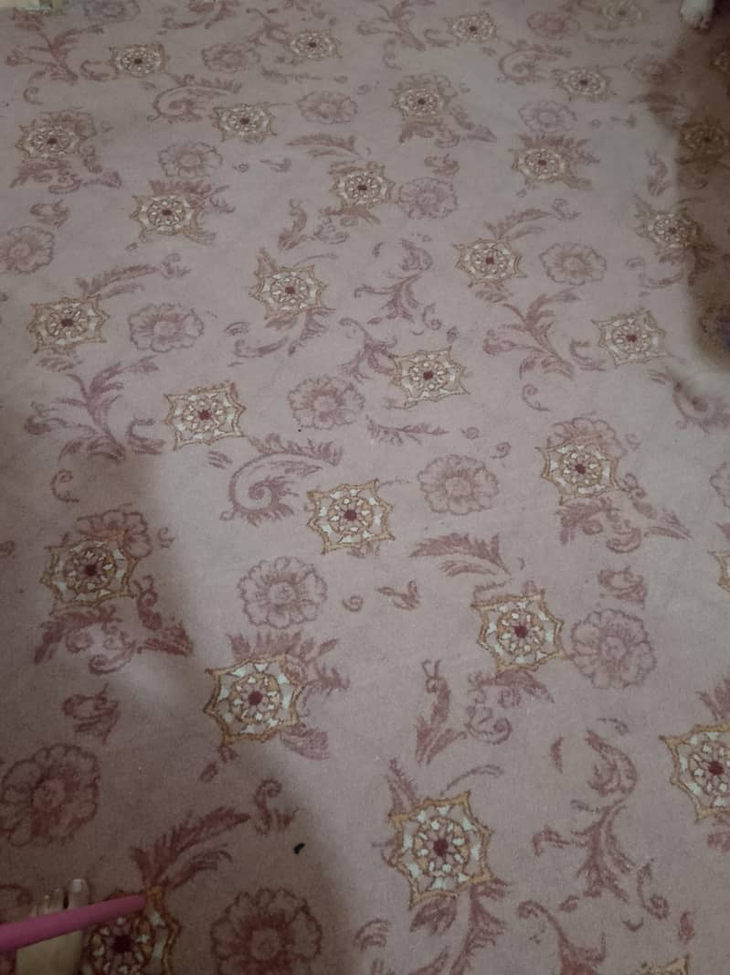 carpet 2