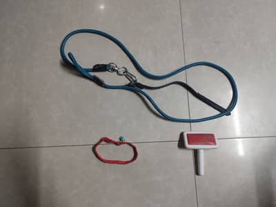 3 in 1 cat pack Cheap