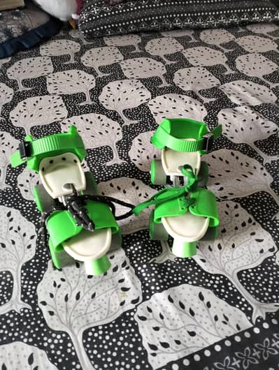 skating shoes green color