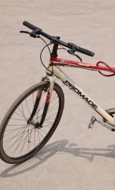 Sports imported cycle