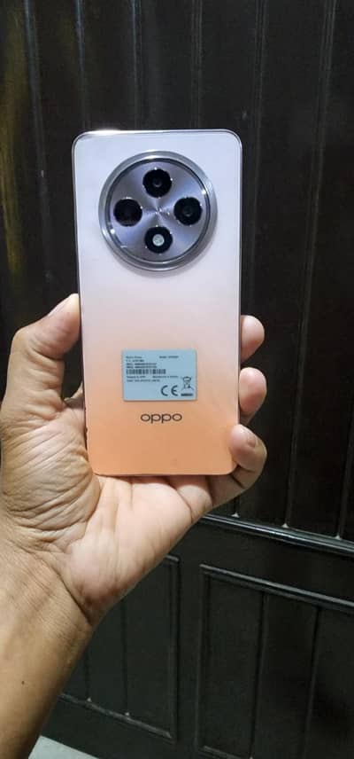 RENO 12F SET CHARGER with cnic copy