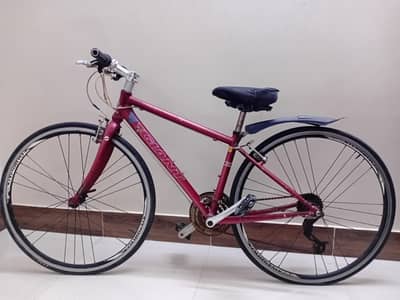 Giant original 380 mm XXS cycle