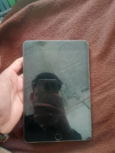 ipad mini 5