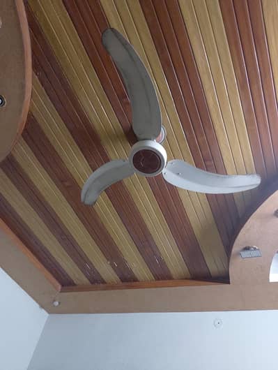 sonex fan price 5500