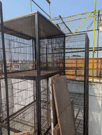 Birds Cage/ Parrots/ Hens