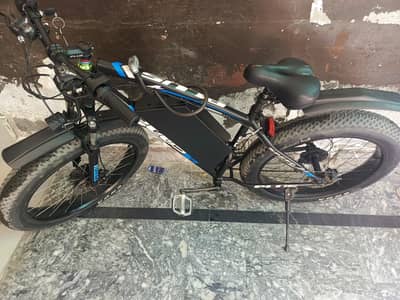 Fat electric kit bike