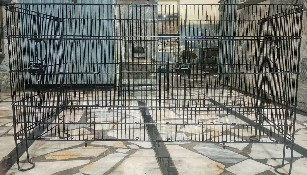 Master cage for sale-Like New,only 13 days used with accessories
